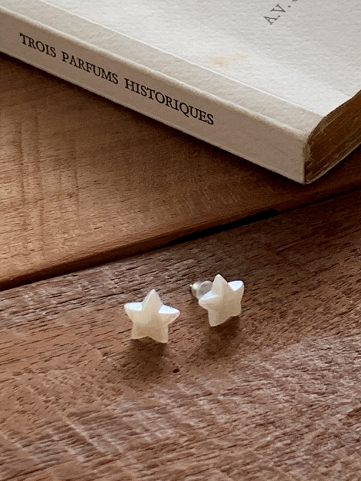 star mini earring (1color) 당일발송